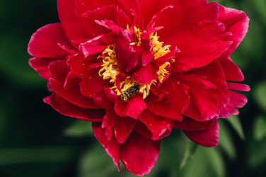 Similar image 21948647