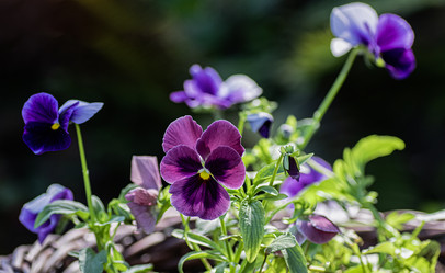 Similar image 21948648