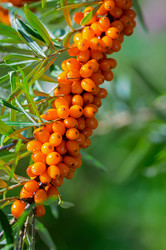 Similar image 21948649