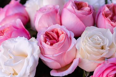 Similar image 21948650