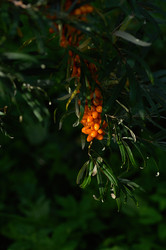 Similar image 21948651