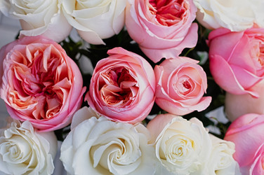 Similar image 21948652