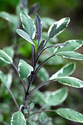 Similar image 21948653