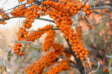 Similar image 21948654