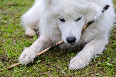 Similar image 21948655