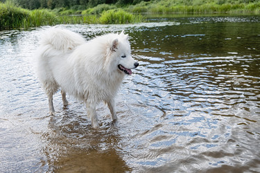 Similar image 21948659