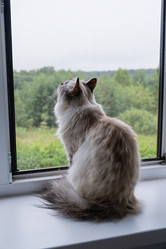 Similar image 21948660