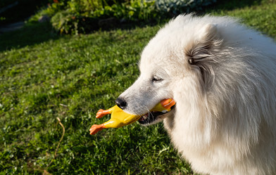 Similar image 21948661