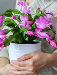 Similar image 21948662