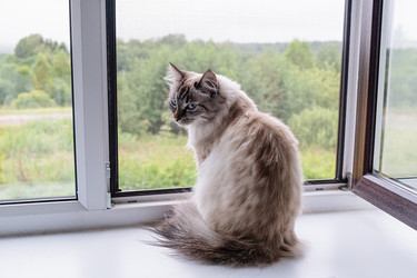 Similar image 21948664