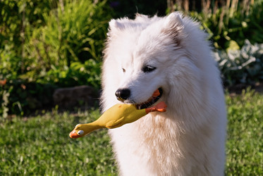 Similar image 21948665