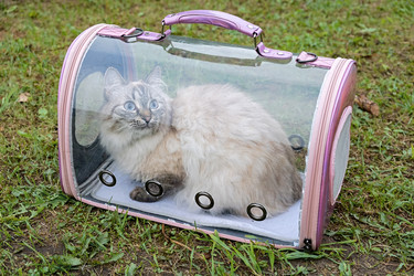 Similar image 21948667