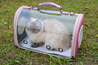 Similar image 21948668