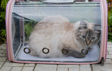 Similar image 21948669