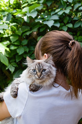 Similar image 21948670