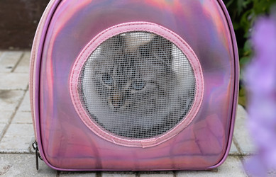 Similar image 21948671