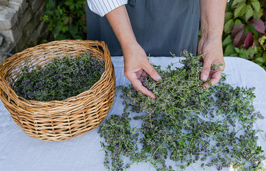 Similar image 21948672