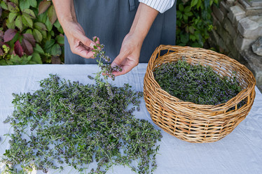 Similar image 21948673