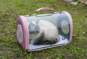 Similar image 21948674