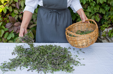 Similar image 21948676