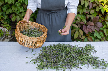 Similar image 21948677