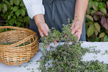 Similar image 21948679