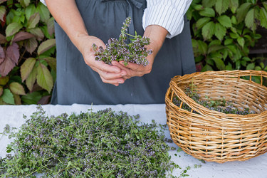 Similar image 21948682