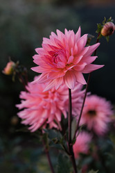 Similar image 21948683