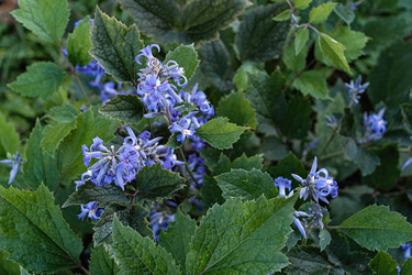 Similar image 21948689