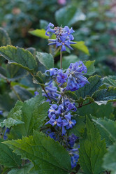 Similar image 21948690