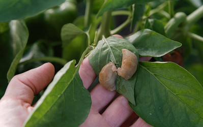 Similar image 21948692