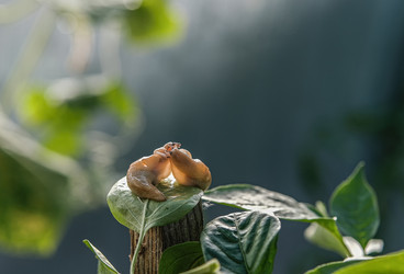 Similar image 21948693