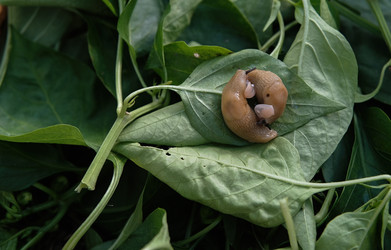 Similar image 21948694