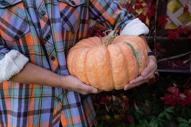 Similar image 21948695