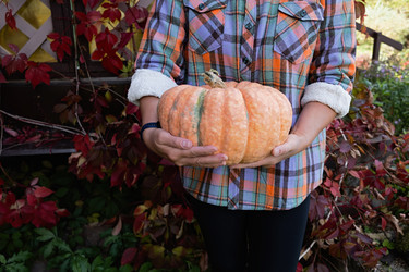 Similar image 21948696