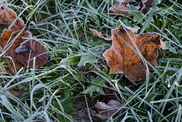 Similar image 21948698