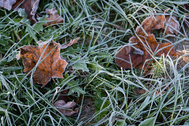 Similar image 21948699