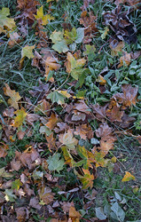 Similar image 21948700