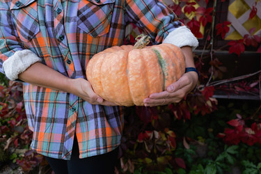 Similar image 21948701