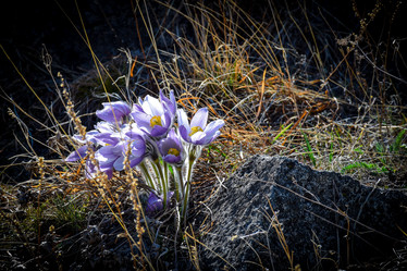 Similar image 21948534