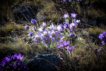 Similar image 21948537