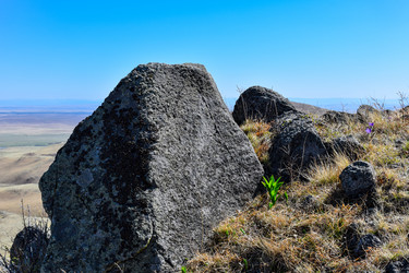 Similar image 21948539