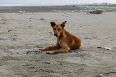 Similar image 21948406