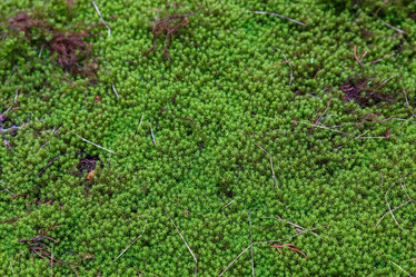 Similar image 21948407