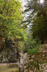 Similar image 21948551