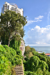 Similar image 21948552