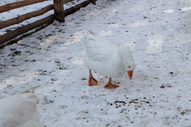 Similar image 21948708