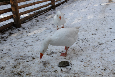 Similar image 21948712