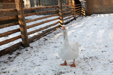 Similar image 21948714