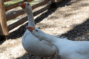 Similar image 21948717